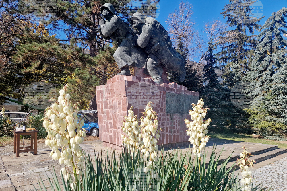 С полагане на цветя пред Войнишкия паметник и безплатен вход в музея в Търговище ще отбележат 140 години от Съединението