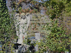 Снимка: Община Варна