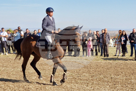 Шумен - Държавно предприятие „Кабиюк” - 160-годишнина