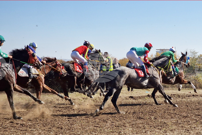 Конни надбягвания ще има на хиподрума в Шумен на 25 октомври, ще бъде въведена организация на движение в района 