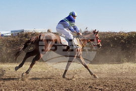 Шумен - Държавно предприятие „Кабиюк” - 160-годишнина