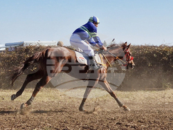 Шумен - Държавно предприятие „Кабиюк” - 160-годишнина