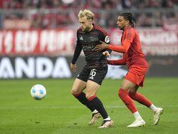Germany Soccer Bundesliga