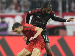 Germany Soccer Bundesliga