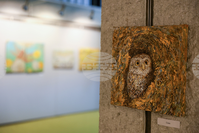 Благоевград - Жулиета Георгиева - изложба