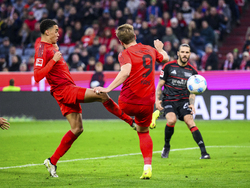 Germany Soccer Bundesliga