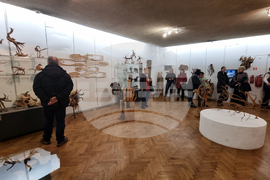 Перник - Диалог - изложба 