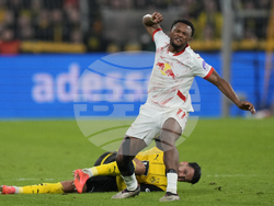 Germany Soccer Bundesliga