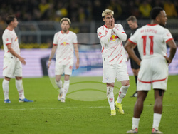 Germany Soccer Bundesliga