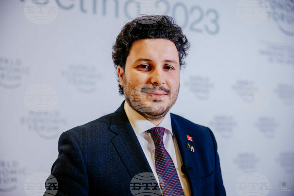 МИНА: Премиерът на Черна гора Дритан Абазович се срещна в Давос с инвеститори от Кувейт и от Южна Корея