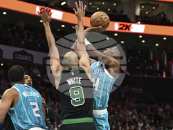 Celtics Hornets Basketball