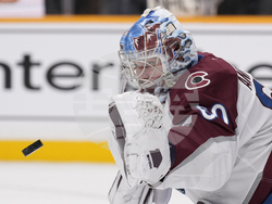 Avalanche Predators Hockey