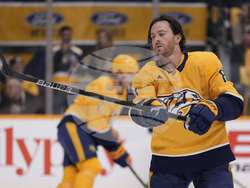 Avalanche Predators Hockey