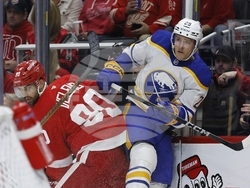 Sabres Red Wings Hockey