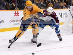Avalanche Predators Hockey