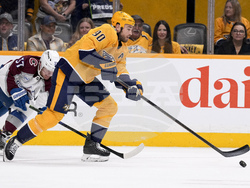 Avalanche Predators Hockey
