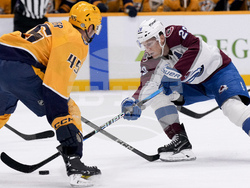 Avalanche Predators Hockey