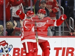 Sabres Red Wings Hockey