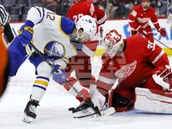 Sabres Red Wings Hockey