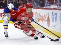 Sabres Red Wings Hockey