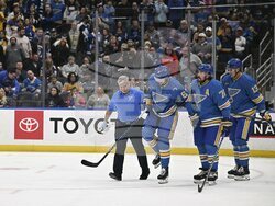 Maple Leafs Blues Hockey