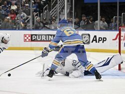 Maple Leafs Blues Hockey