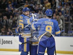 Maple Leafs Blues Hockey