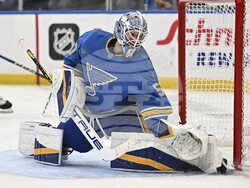 Maple Leafs Blues Hockey