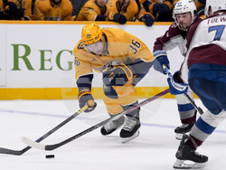 Avalanche Predators Hockey