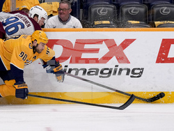 Avalanche Predators Hockey