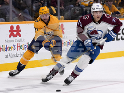 Avalanche Predators Hockey
