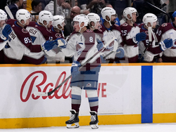 Avalanche Predators Hockey