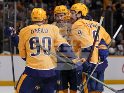 Avalanche Predators Hockey