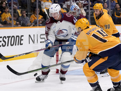 Avalanche Predators Hockey
