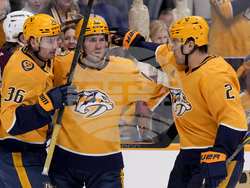 Avalanche Predators Hockey