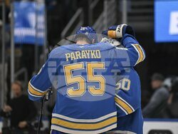 Maple Leafs Blues Hockey