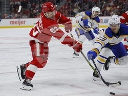 Sabres Red Wings Hockey