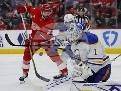 Sabres Red Wings Hockey