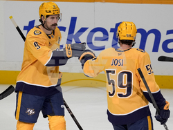 Avalanche Predators Hockey