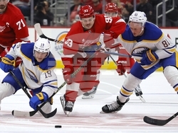 Sabres Red Wings Hockey