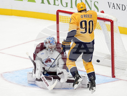 Avalanche Predators Hockey