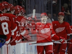 Sabres Red Wings Hockey