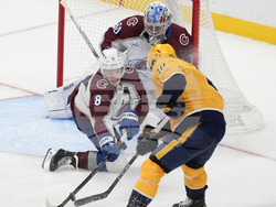 Avalanche Predators Hockey