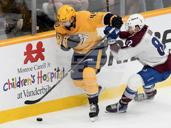 Avalanche Predators Hockey
