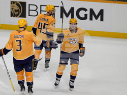 Avalanche Predators Hockey