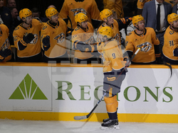 Avalanche Predators Hockey