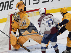 Avalanche Predators Hockey