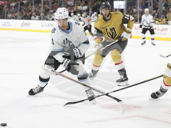 Utah Golden Knights Hockey