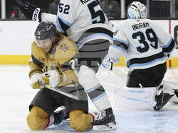 Utah Golden Knights Hockey