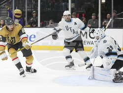 Utah Golden Knights Hockey